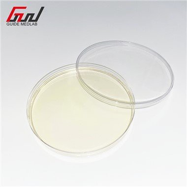 Boîte de Petri en plastique 100mm